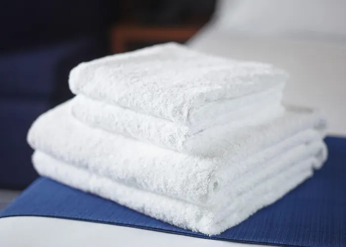 Hotel Holiday Inn Frankfurt Airport By Ihg Frankfurt am Main