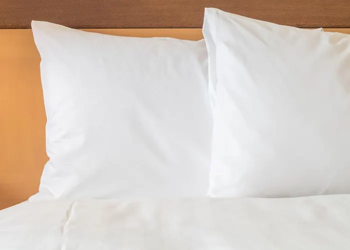 Holiday Inn Frankfurt Airport By Ihg 4*